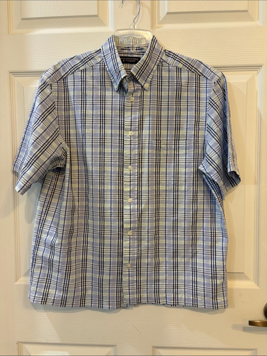 Roundtree & Yorke Other - Roundtree & Yorke Men’s Blue and White Plaid Short-Sleeve Button-Down Shirt